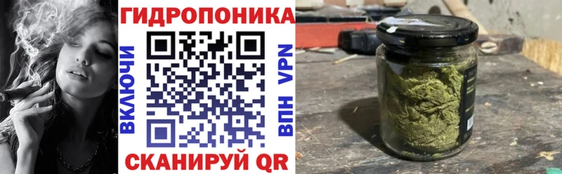 Канабис сатива  Купить закладки  Чишмы 